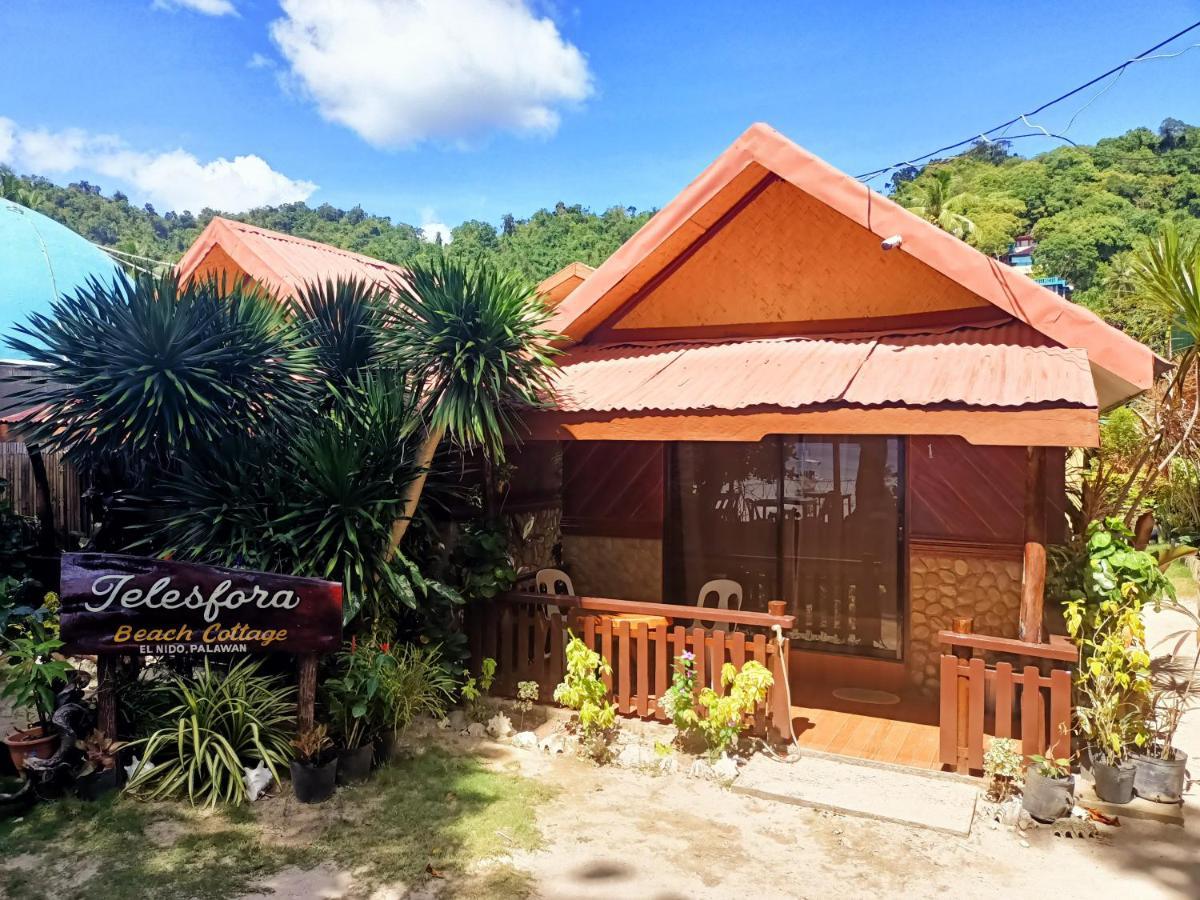Telesfora Beach Cottage Эль-Нидо Экстерьер фото